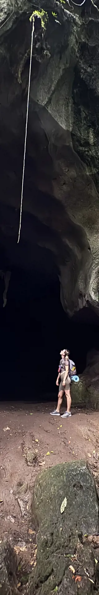 Taman Negara – Abenteuer im Regenwald